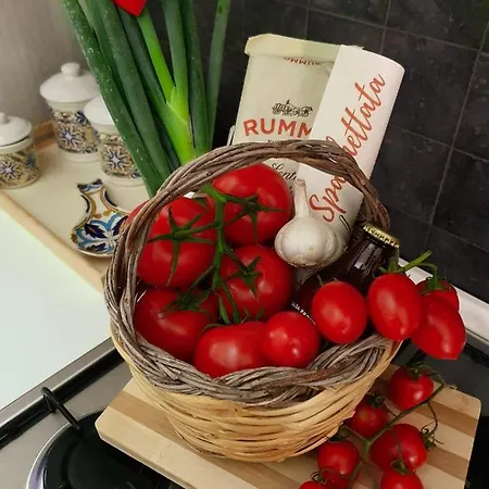 Villa Il Bonsai Per Turisti